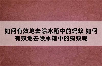 如何有效地去除冰箱中的蚂蚁 如何有效地去除冰箱中的蚂蚁呢